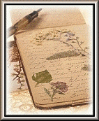 Reststop Writer's Newsletter Writer's Award