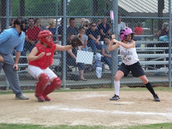 Brook catching