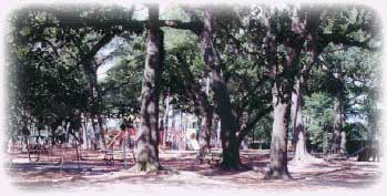 Frasch Complex