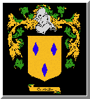 image of costelloe crest