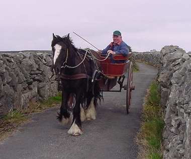 image of horse and cart 