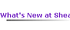 What's New at Shealy's SchoolHouse