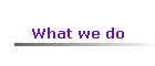 What we do
