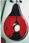 Ladybug