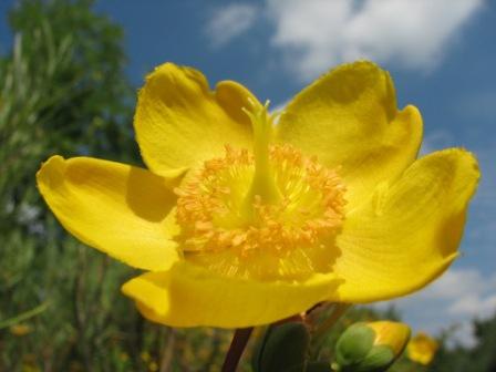 Click to enlarge