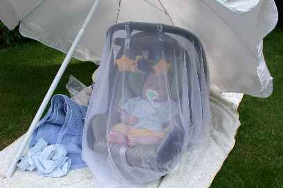 ... behind my mosquito screen, I can enjoy a nap in the garden...