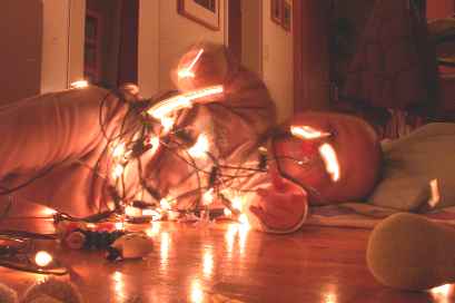 ... hey, I tried to help decorate the tree, okay...