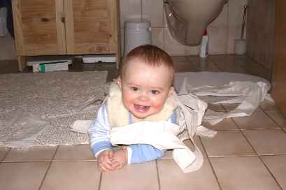 ... is it "a roll of toilet paper" because you can roll in it!