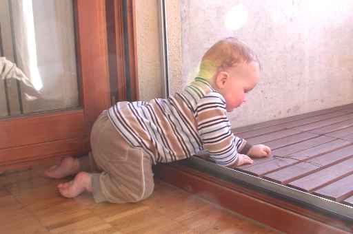 ... I crawl around and expand my territory every day,... here I explore the balcony!