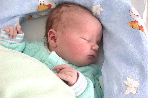 ... this is what I do best... I sleep!