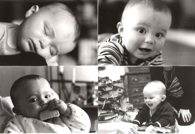 Impressions in black&white: fast asleep - curious as always - opening presents for christmas - having a snack...