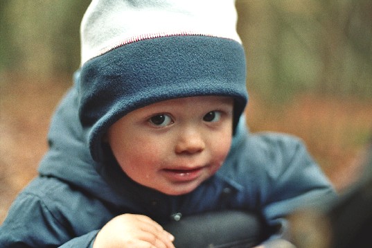 ... or going on adventure discovery trips in the forest!
