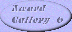 Award Gallery 6