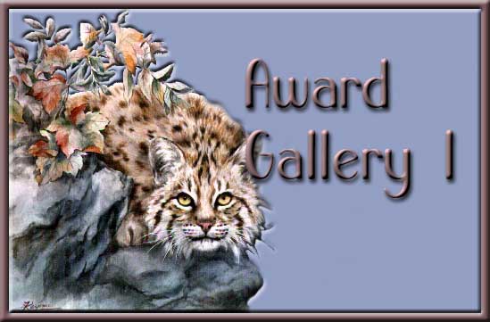 Award Gallery 1