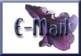 E-Mail Everlasting Serenity