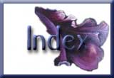 Award Gallery Index
