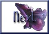 Next