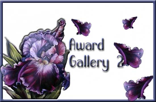 Award Gallery 2