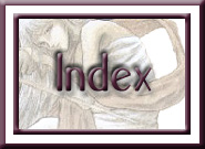Award Gallery Index