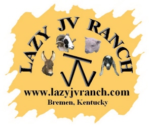Click Picture to go to Lazy JV Ranch