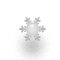 Web Board