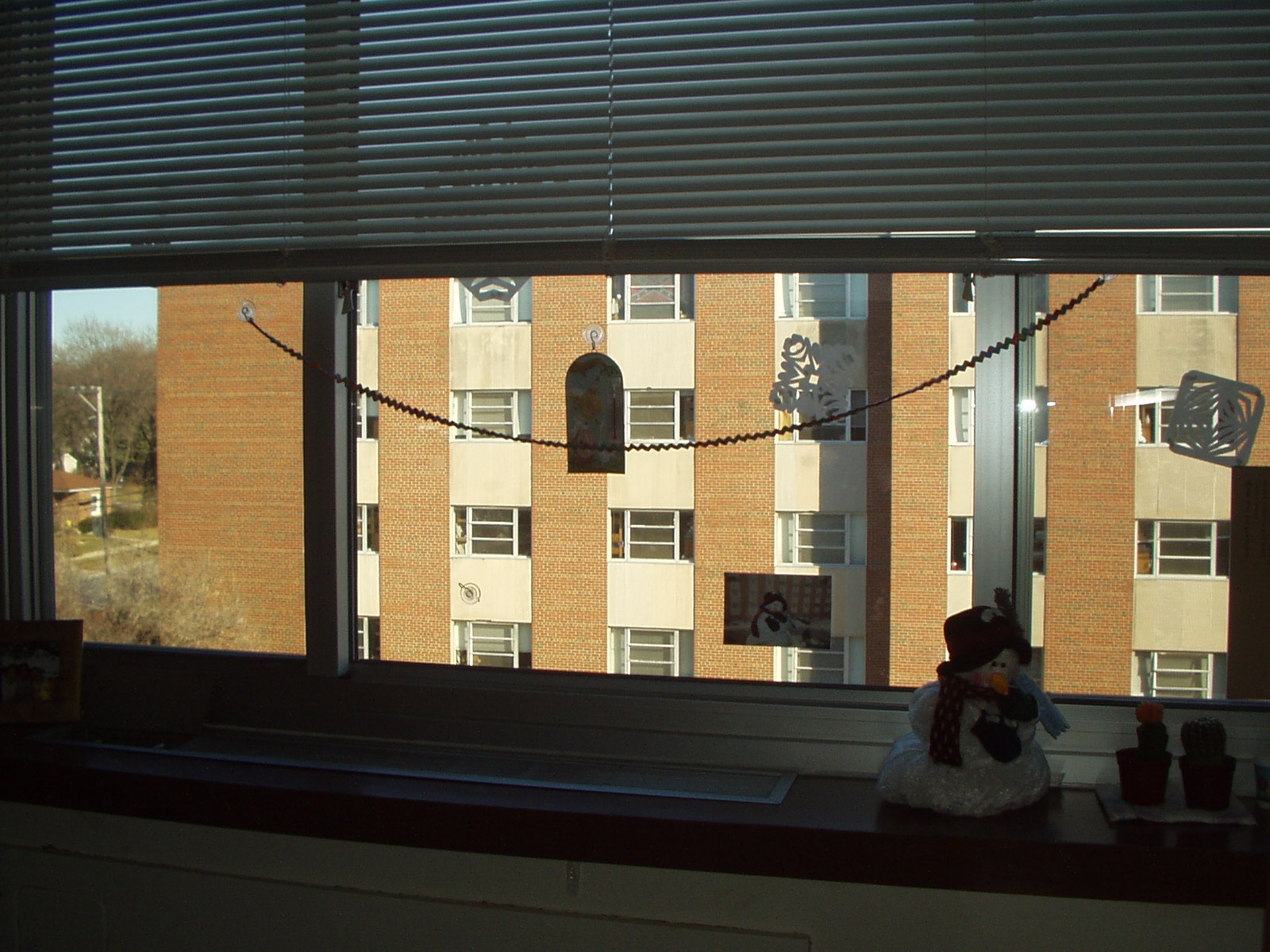 sometimes, the sunlight streams in and i can pretend that it really is 85 degrees outside! :-)