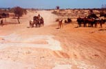 The road between Tulear and Ifaty is not suitable for cycling!