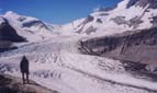 Robson Glacier from atop the moraine wall (Snowbird Pass trail)