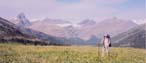 Moose Pass is prime Grizzly habitat!!
