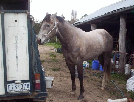 Casey at home