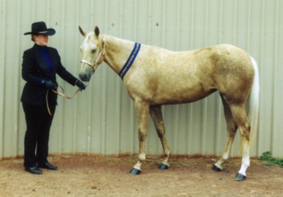 2003 VQHA & RASV show pics