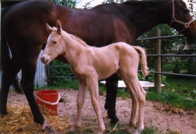 Her first photo