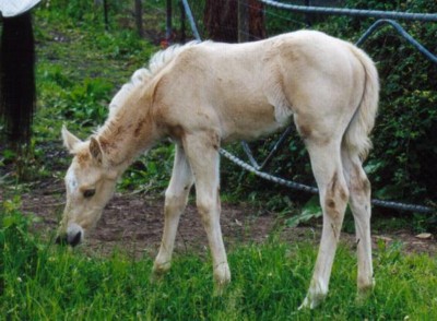 Not pink any more - now she's yellow