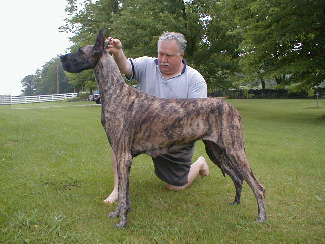 Grace's Mom-Gidget