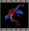 AMAZING SPIDER-MAN
