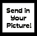 Send in Your Picture!