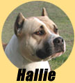 Hallie
