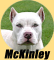 McKinley
