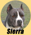 Sierra