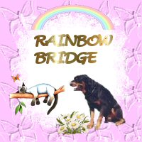Rainbow Bridge Webring