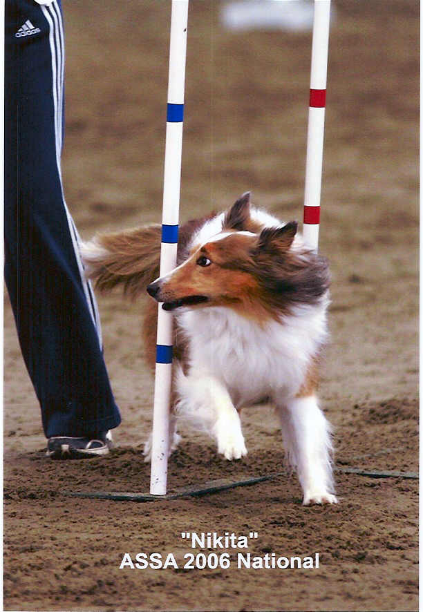 Obstacle 4- Weaves