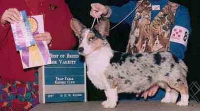 casper.jpg (20515 bytes)