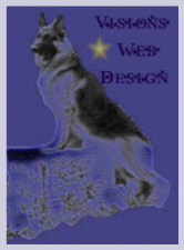 visionsweblogo.gif (21431 bytes)