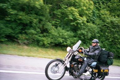 On the Hog!