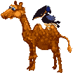 camel
