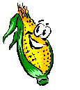 corn