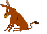 donkey