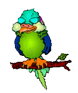 parrot