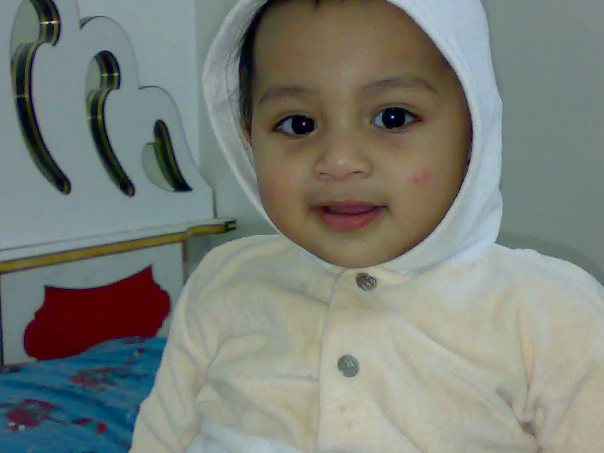 Shads with hoodie