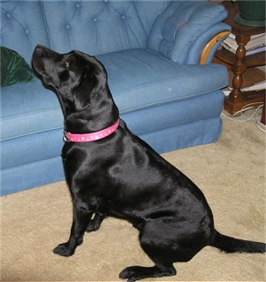Sitting like a good girl